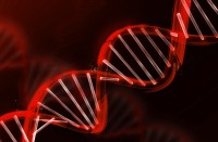 DNA LABORATORIO SCIENZA