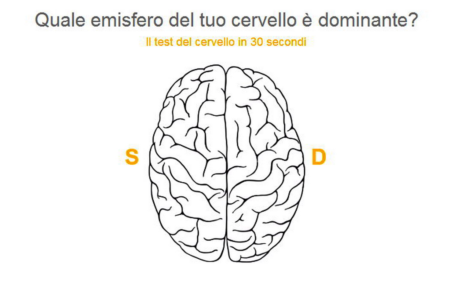 Has more brains. Два полушария мозга. Рисунок тестирования мозга. Тест на мозг. Тест на полушария мозга.