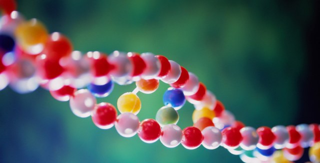 MEDICINA ONLINE GENETICA DNA LABORATORIO CROMOSOMI ALLELE MENDEL POPOLAZIONE RNA CELLULA NUCLEO ORGANELLI MITOCONDRIO RIBOSOMA.