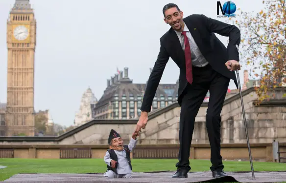 MEDICINA ONLINE PHOTO: Turkey's Sultan Kosen, who stands 2.51 metres tall, met with Chandra Bahadur Dangi from Nepal, who measures up at 55 centimetres tall 