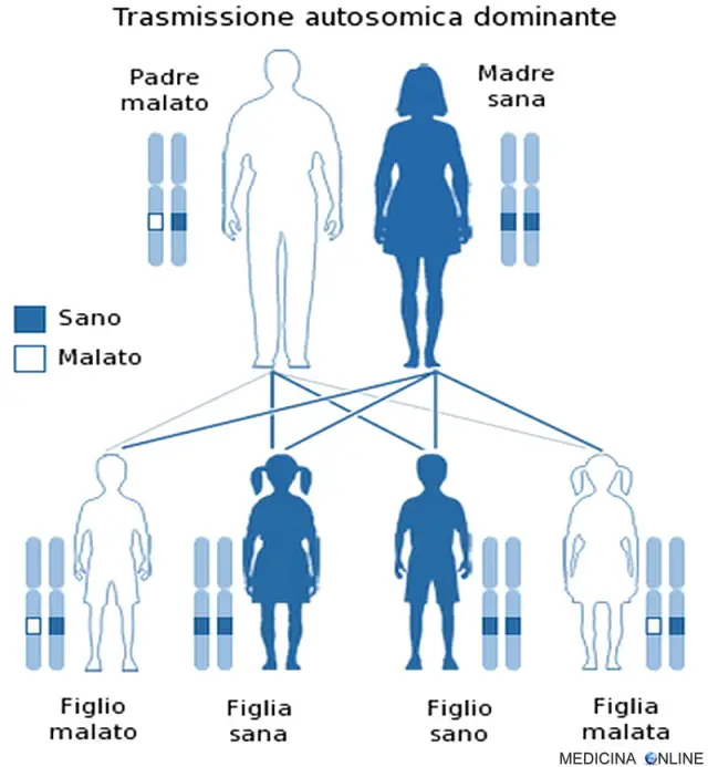 MEDICINA ONLINE GENETICA TRASMISSIONE AUTOSOMICA DOMINANTE RECESSIVA GENI CROMOSOMI ALLELE MALATO PADRE FIGLI PERCENTUALI TRASMESSO MALATTIA GENICA MADRE GENITORE XX XY.jpg