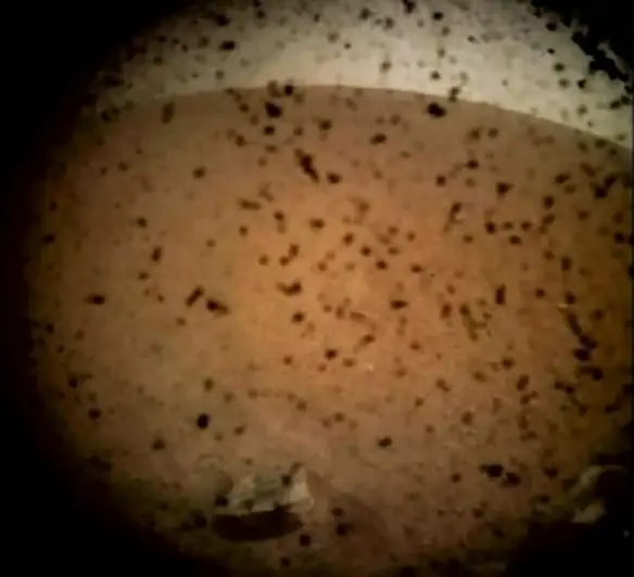 MEDICINA ONLINE Landing And First Image - LIVE NASA InSight Mars Lander Reentry And Landing Coverage SONDA PRIMA IMMAGINE PIANETA MARTE LIVE SUOLO MARZIANO DIRETTA HD WALLPAPER.jpg
