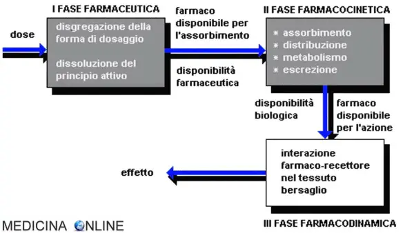 MEDICINA ONLINE Farmacocinetica Farmacodinamica interazioni farmaco-recettore relazione dose-risposta FARMACI.jpg