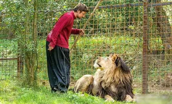 MEDICINA ONLINE Michal Prasek Zdechov lions lion cage gabbia leone leoni giardino sbranato dal leone che teneva da anni in una gabbia in giardino.jpg