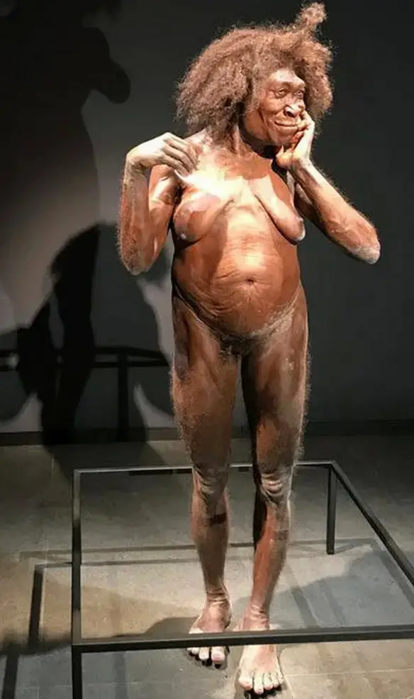 Ricostruzione di femmina di Homo erectus vissuta 1 milione e mezzo di anni fa. Museo Rijksmuseum van Oudheden di Leida, Olanda