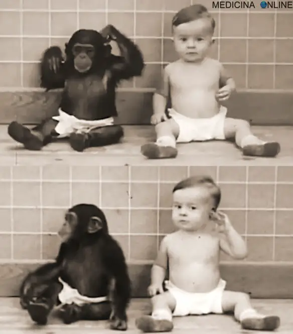 MEDICINA ONLINE EMILIO ALESSIO LOIACONO Winthrop Niles Kellogg The Ape and The Child experiment esperimento scimmia bambino